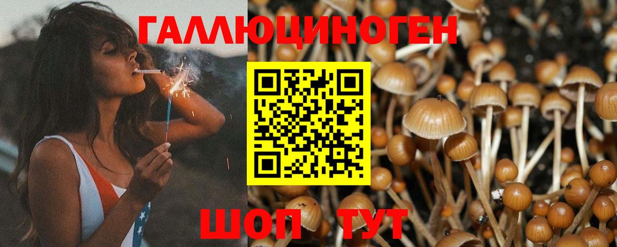 Галлюциногенные грибы мицелий Дятьково