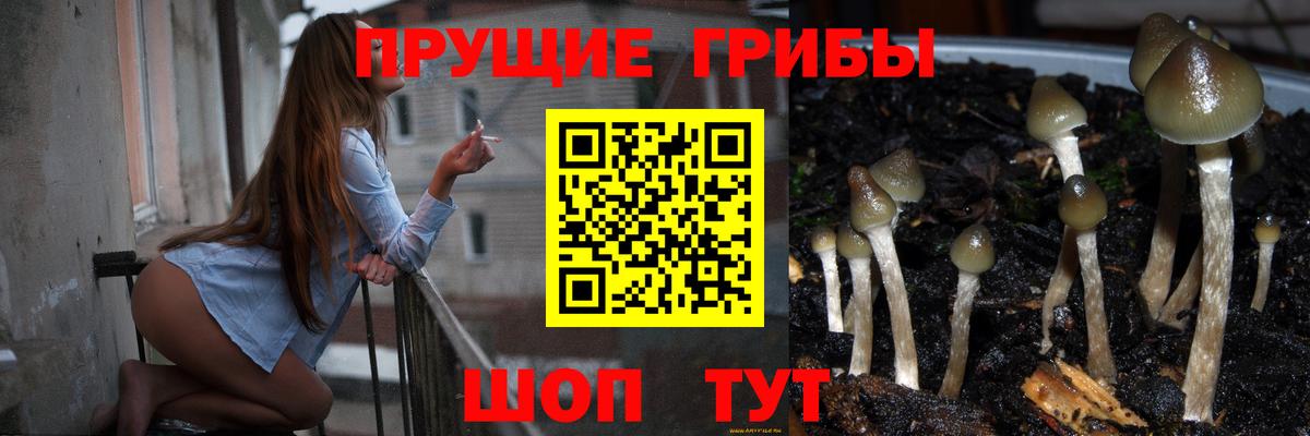 Дятьково  Галлюциногенные грибы Cubensis  Вход с VPN 